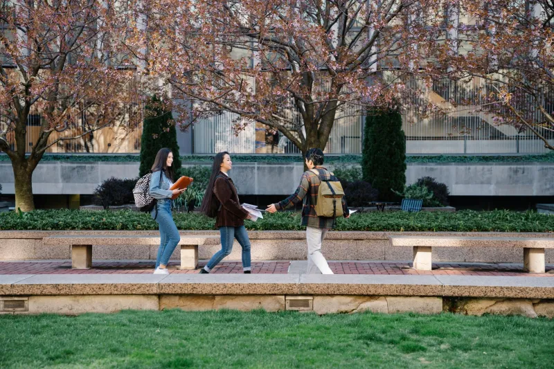 The Two-Then-Two Trap: When Community College Actually Costs More Than a Four-Year Start